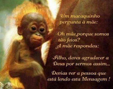 Aqui uma anedota animalesca pra vocês!!