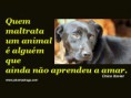 /album/galeria-de-fotos/maltratar-animal-jpg/